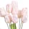 Pink Tulip Bush by Ashland&#xAE;
